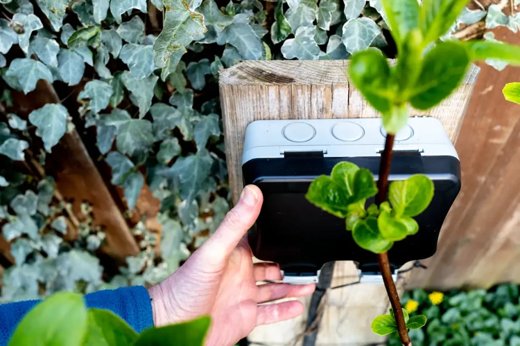 Hand eines Elektrikers montiert eine wetterfeste Außensteckdose, die an einem Holzpfosten im Garten befestigt ist. Im Hintergrund sind dichter Efeubewuchs und frische grüne Triebe zu sehen.