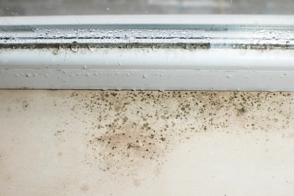 Schimmel an der Fensterlaibung durch Kondenswasser unterhalb eines Dachfensters mit sichtbaren Wassertropfen.