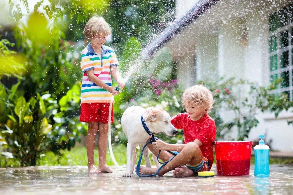 Zwei Kinder waschen bei sommerlichem Wetter im Garten einen Hund mit einem Wasserschlauch. Während das stehende Kind Wasser spritzt, hält das sitzende Kind den Hund fest. Im Vordergrund stehen ein roter Eimer, ein Schwamm und eine Flasche Shampoo. Um sie herum fliegen Wasserspritzer durch die Luft.