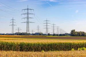 Eine Stromleitung über einem gelben Feld am Land