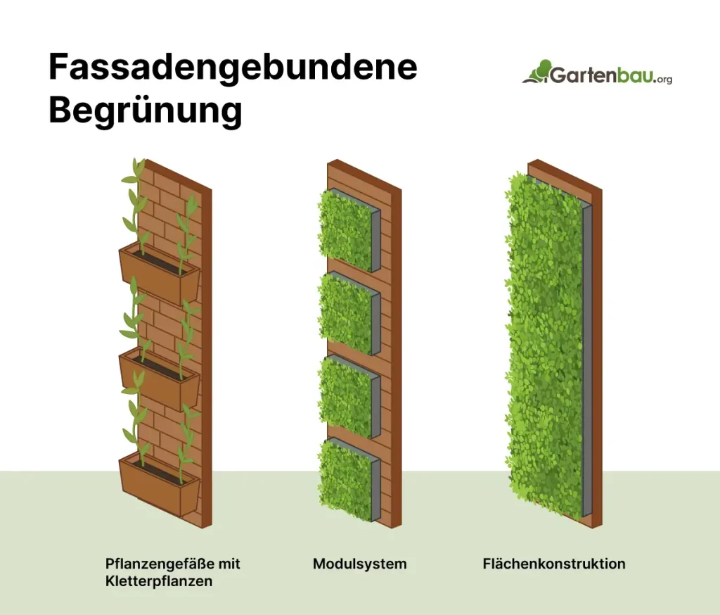Illustration von drei Bauarten der fassadengebundenen Begrünung: Pflanzgefäße mit Kletterpflanzen, Modulsystem und Flächenkonstruktion.