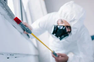 Schädlingsbekämpfer im Schutzanzug mit Atemmaske sprüht mit Spezialgerät Pestizide zur Bekämpfung von Schädlingen an einer Wand.