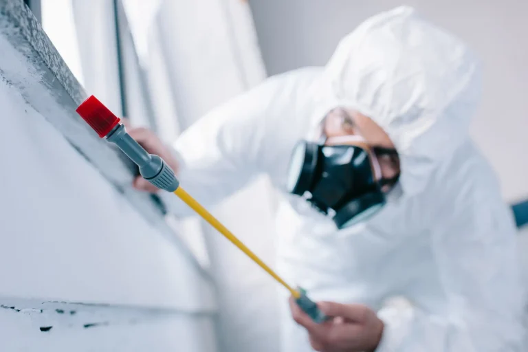 Schädlingsbekämpfer im Schutzanzug mit Atemmaske sprüht mit Spezialgerät Pestizide zur Bekämpfung von Schädlingen an einer Wand.