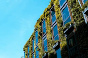 Moderne Gebäudefassade mit wandgebundener Fassadenbegrünung. Zwischen den großen Glasfenstern sind dichte, grüne Pflanzenmodule angebracht, die die gesamte Fassade bedecken. Das Zusammenspiel von Glasflächen und üppiger Vegetation verleiht dem Gebäude ein nachhaltiges und lebendiges Erscheinungsbild.