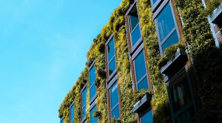 Moderne Gebäudefassade mit wandgebundener Fassadenbegrünung. Zwischen den großen Glasfenstern sind dichte, grüne Pflanzenmodule angebracht, die die gesamte Fassade bedecken. Das Zusammenspiel von Glasflächen und üppiger Vegetation verleiht dem Gebäude ein nachhaltiges und lebendiges Erscheinungsbild.