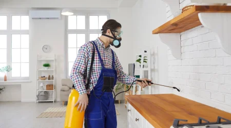 Kammerjäger mit Atemschutzmaske und Sprühgerät behandelt Küchenarbeitsplatte