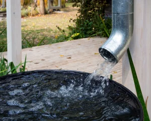 Ein Fallrohr über einem Wasserfass. Regenwasser läuft in das Fass.