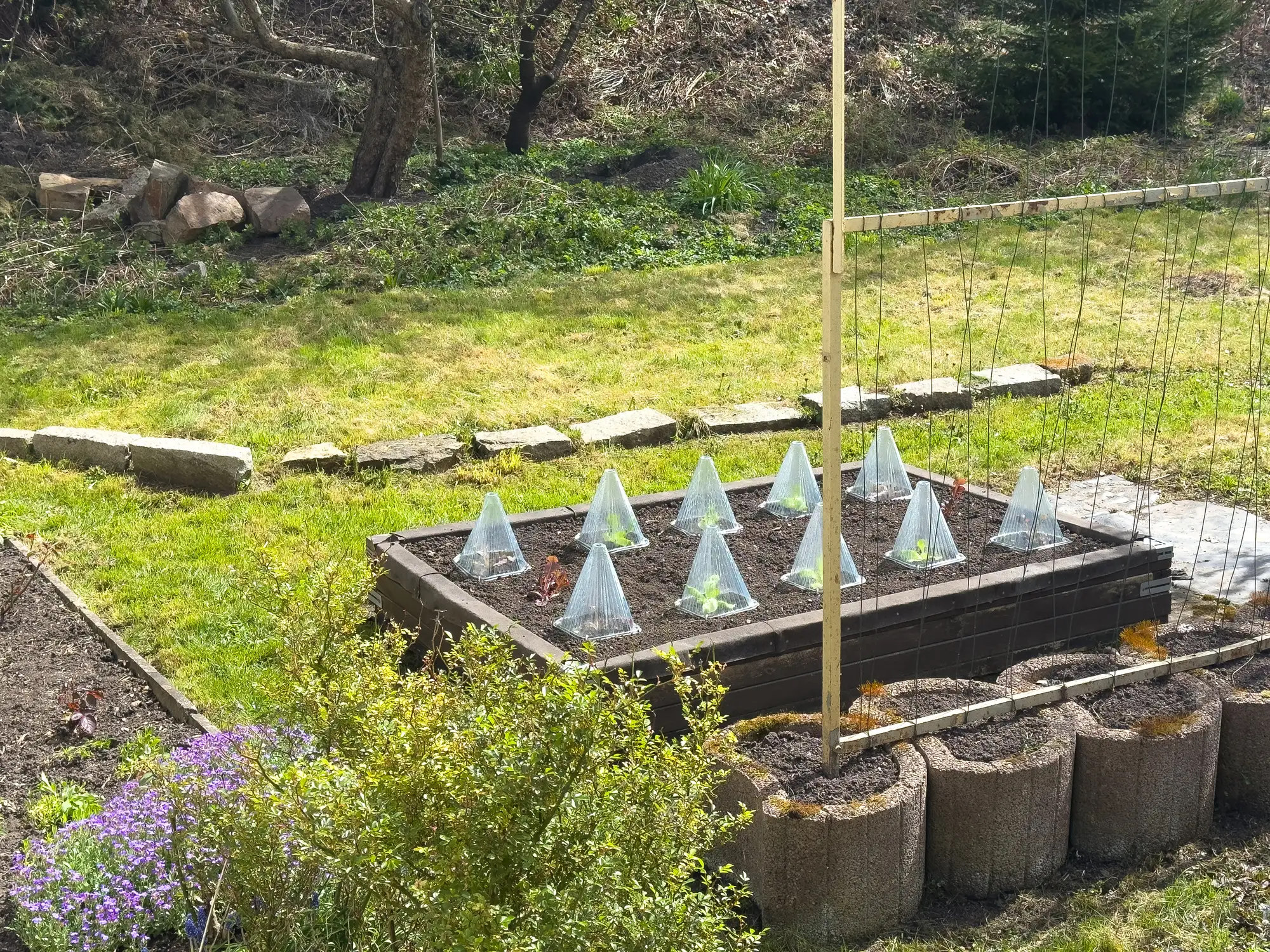 Gartenarbeit im Mrz  Was muss im Mrz erledigt werden?