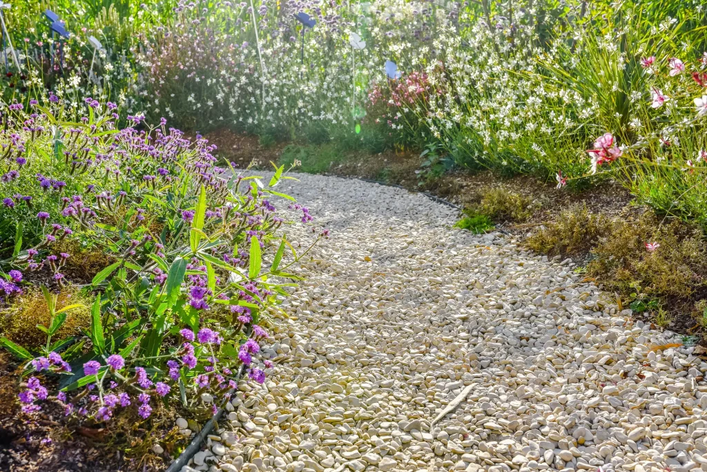 Ein geschwungener Gartenweg aus hellem, beigefarbenem Kies, der durch ein blühendes Gartenbeet mit violetten und weißen Blumen führt und mit einer dunklen Kante sauber zum Erdreich abgegrenzt ist.