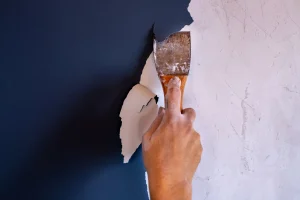 Nahaufnahme einer Hand, die mit einem Metallspachtel alte weiße Farbe von einer dunkelblauen Wand abkratzt, um den Untergrund für eine Neugestaltung vorzubereiten.