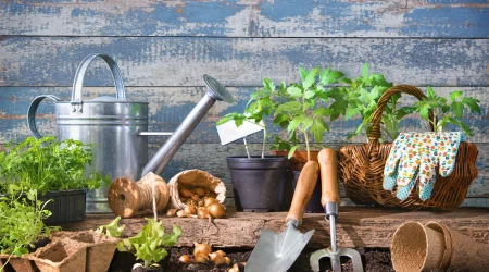 Verschiedene Gartenwerkzeuge auf einer Holzfläche vor Gemüsetöpfen und einer silbernen Gieskanne.