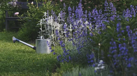 gartenarbeiten-juni