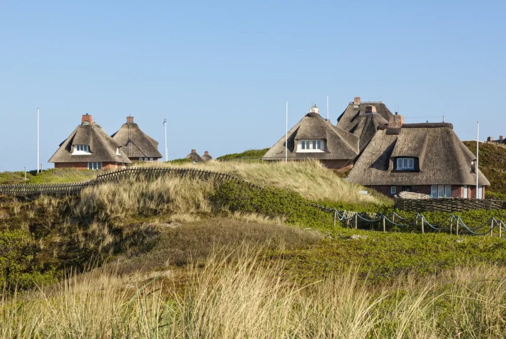 Reetgedeckte Häuser mit Krüppelwalmdach in einer hügeligen Dünenlandschaft an der Nordseeküste. Im Vordergrund wächst hohes Dünengras vor den traditionellen Klinkerhäusern, deren Krüppelwalmdächer mit Reet gedeckt sind.