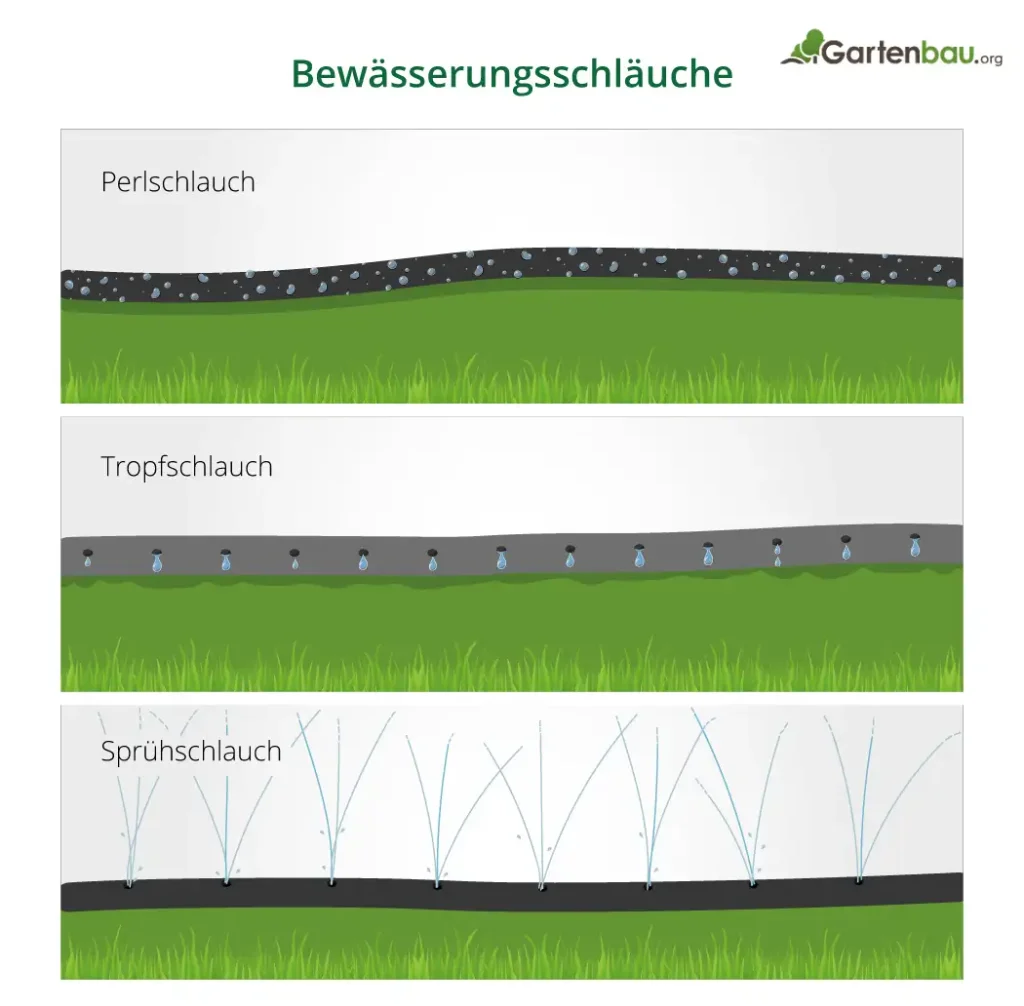 Infografik von Gartenbau.org zum Thema Bewässerungsschläuche im Garten. Im dreigeteilten Aufbau wird die Funktionsweise von Perlschlauch, Tropfschlauch und Sprühschlauch anhand von Querschnitten auf einer Rasenfläche veranschaulicht.