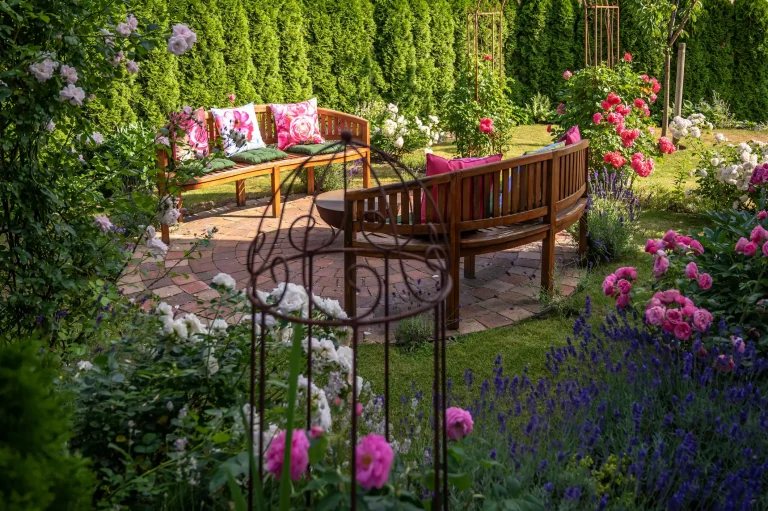 Ein üppig blühender Rosengarten im Juli mit einer gepflasterten Sitzecke. Zwei geschwungene Holz-Gartenbänke mit bunten Dekokissen laden zum Verweilen ein, umgeben von blühendem Lavendel, Rosensträuchern und einer dichten, grünen Hecke im Hintergrund.
