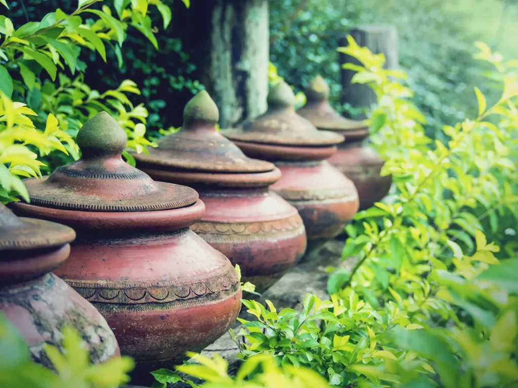Eine Reihe traditioneller Olla-Tontöpfe mit spitz zulaufenden Deckeln, aufgereiht in einem Garten inmitten von grünem Gebüsch.