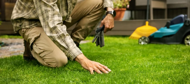 Gärtner kniet auf dichtem grünem Rasen und prüft die Rasenqualität im Sommer.