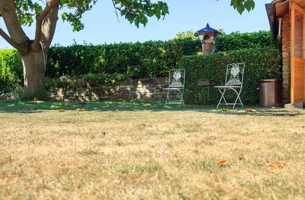 Vertrockneter Rasen bei Sommerhitze mit zwei weißen Gartenstühlen aus Metall.
