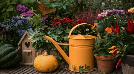 gartenarbeiten-oktober