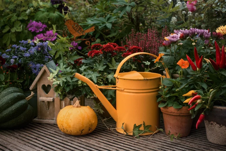 Gelbe Gießkanne, Kürbis und herbstliche Topfpflanzen auf einer Holzterrasse.