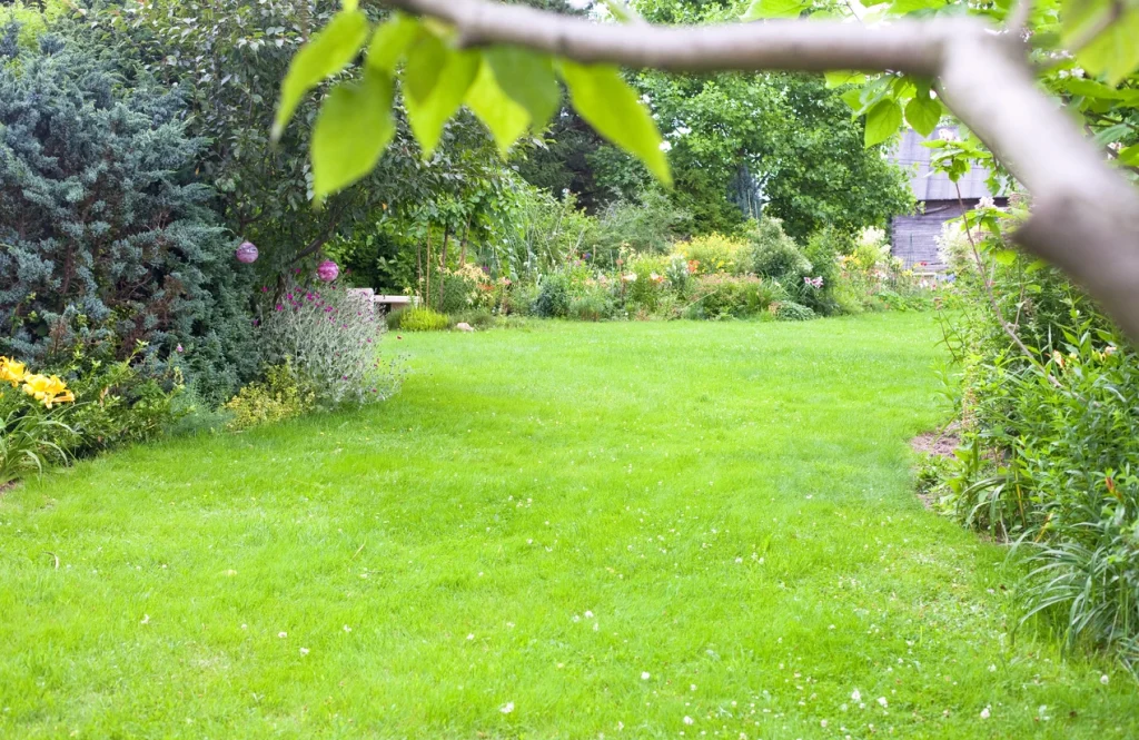 Grüner Gebrauchsrasen im naturnahen Garten, umgeben von dichten Beeten und Sträuchern.