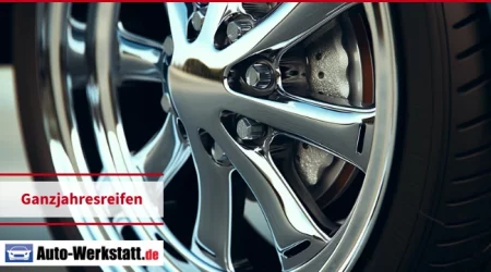 Darstellung von Ganzjahresreifen
