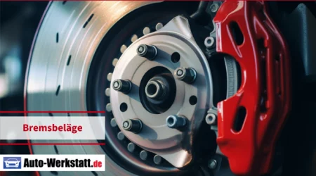 Bremsscheibe mit Bremsbelägen