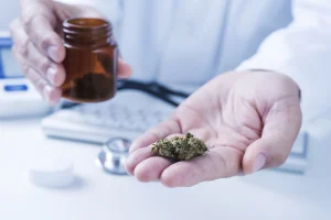 Ein Arzt hält medizinisches Cannabis in der Hand.