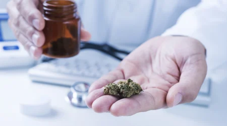 medizinische-cannabissorten-wirkungen-ueberblick